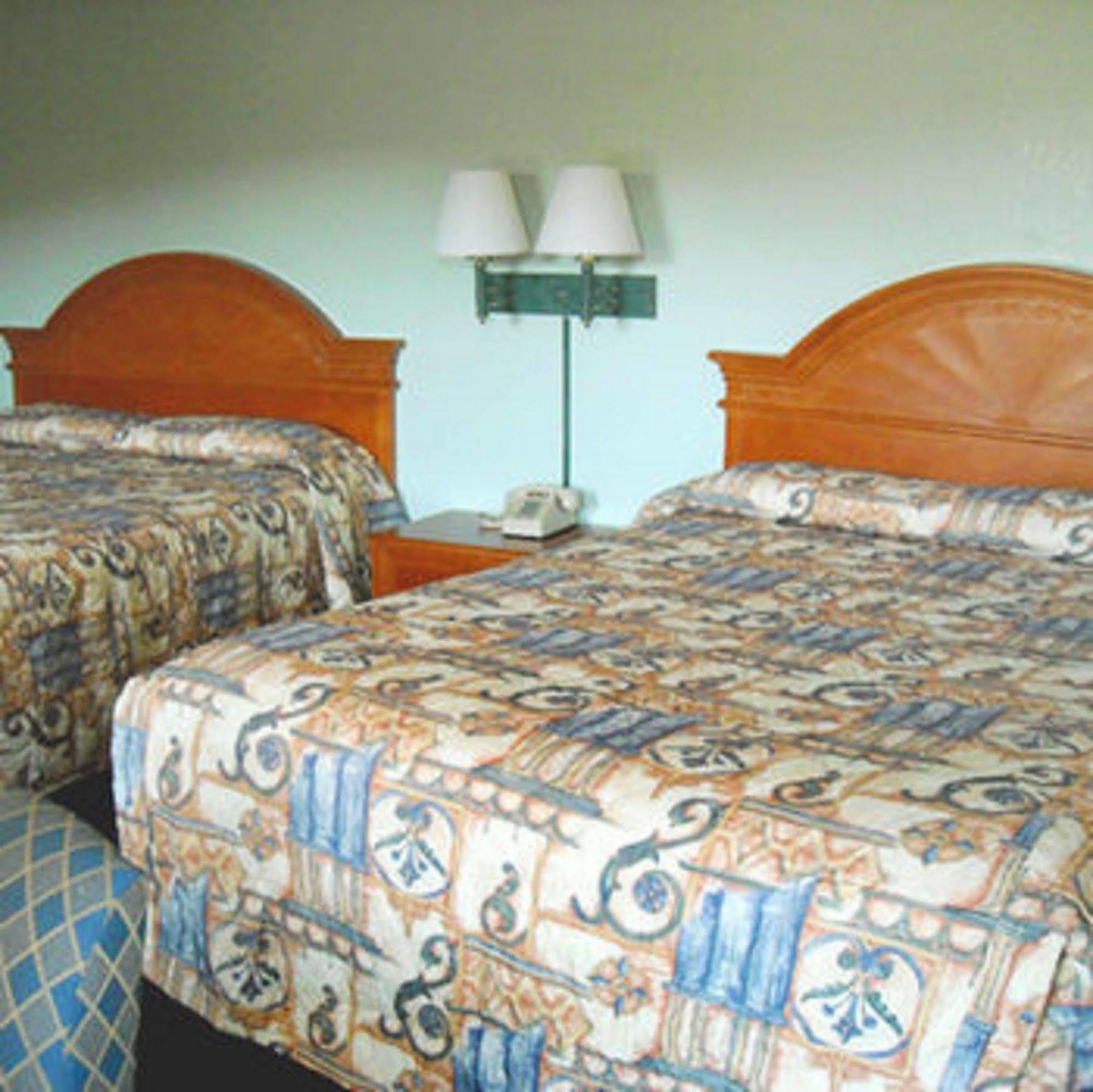 Whispering Pines Motel - Asheville Oda fotoğraf