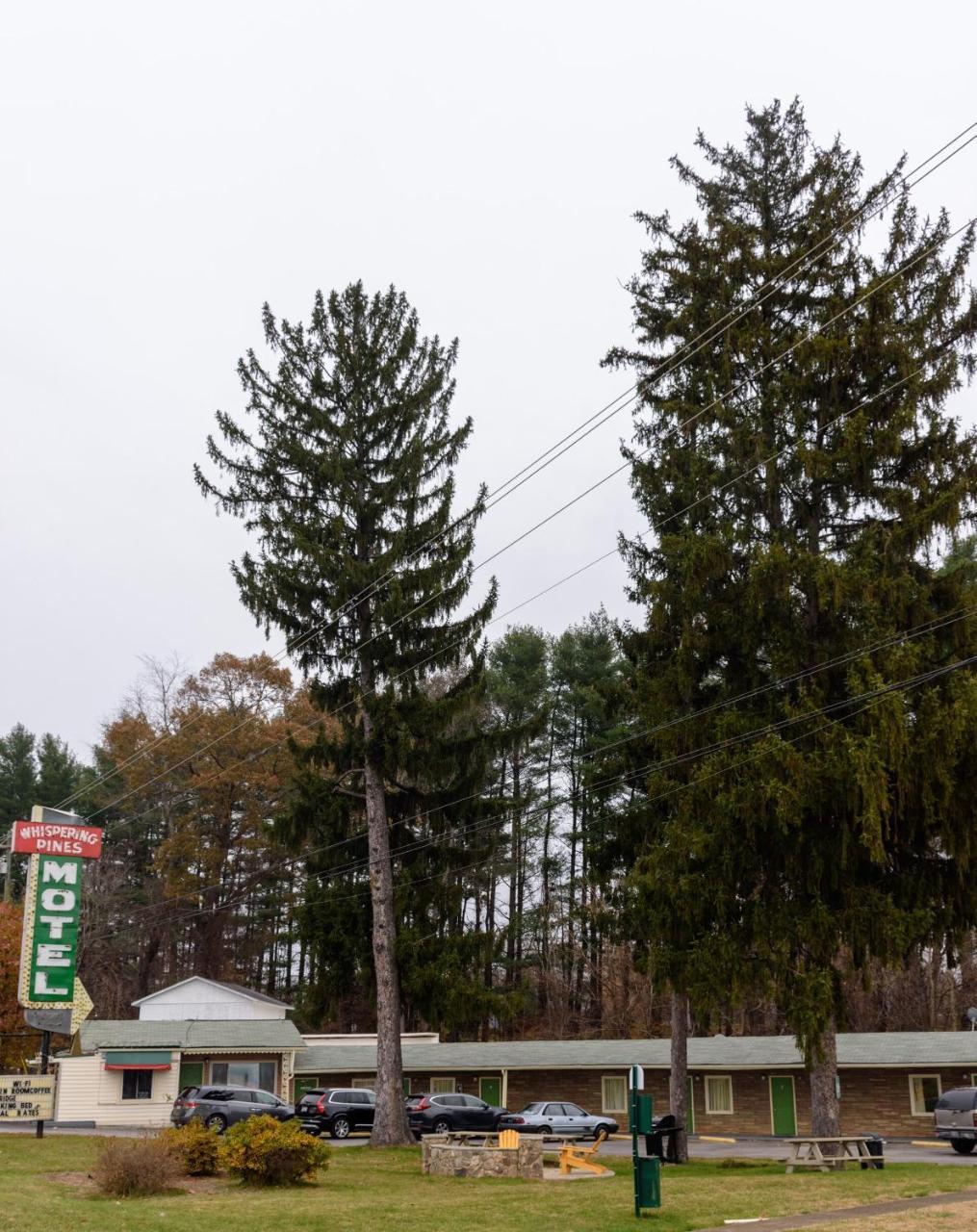 Whispering Pines Motel - Asheville Dış mekan fotoğraf