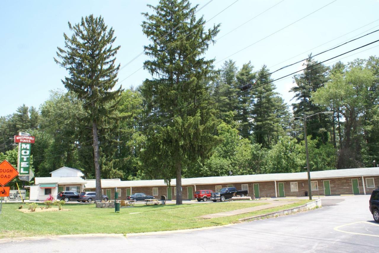 Whispering Pines Motel - Asheville Dış mekan fotoğraf